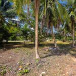 listing image thumbnail with ID 114501