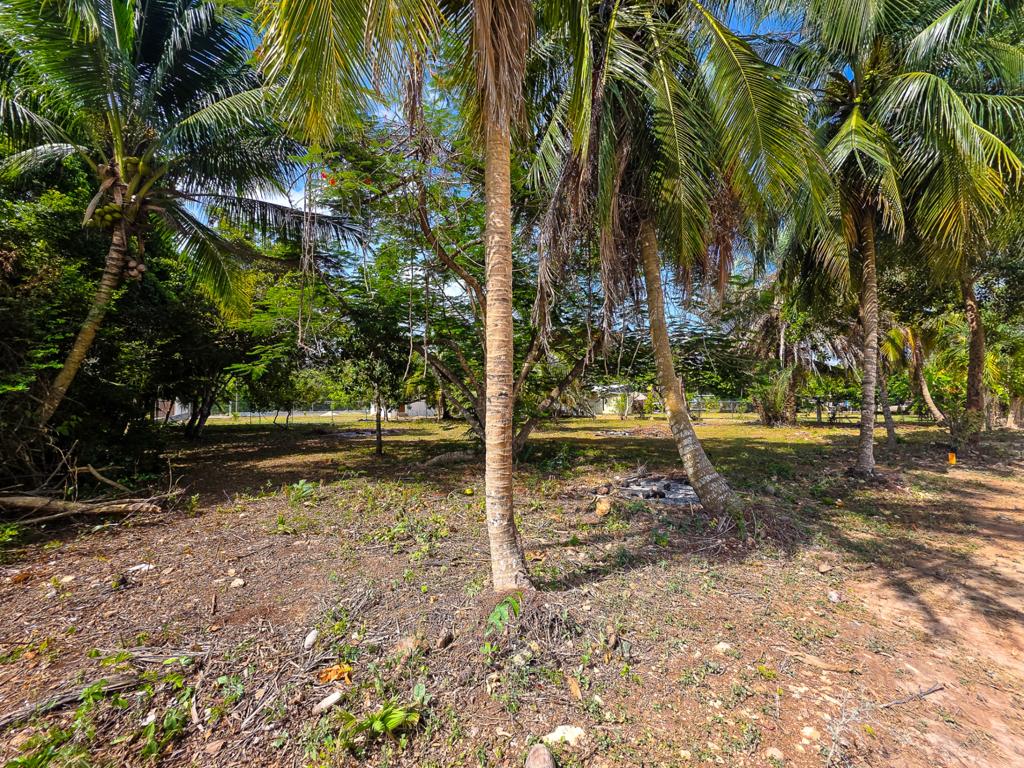 listing image with ID 114501