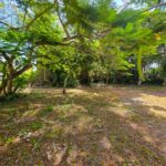 listing image thumbnail with ID 114496