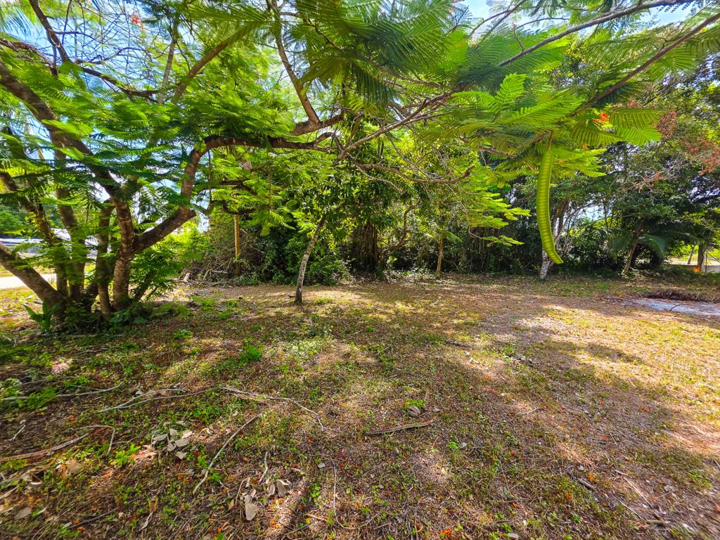 listing image with ID 114496