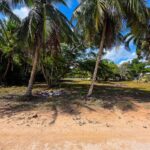 listing image thumbnail with ID 114503