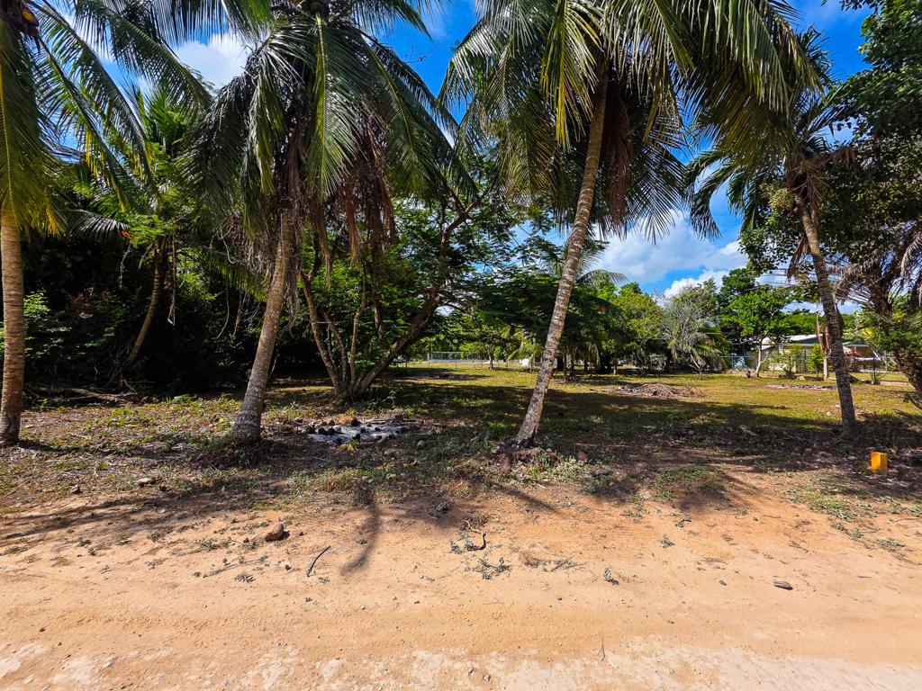 listing image with ID 114503
