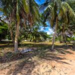 listing image thumbnail with ID 114499