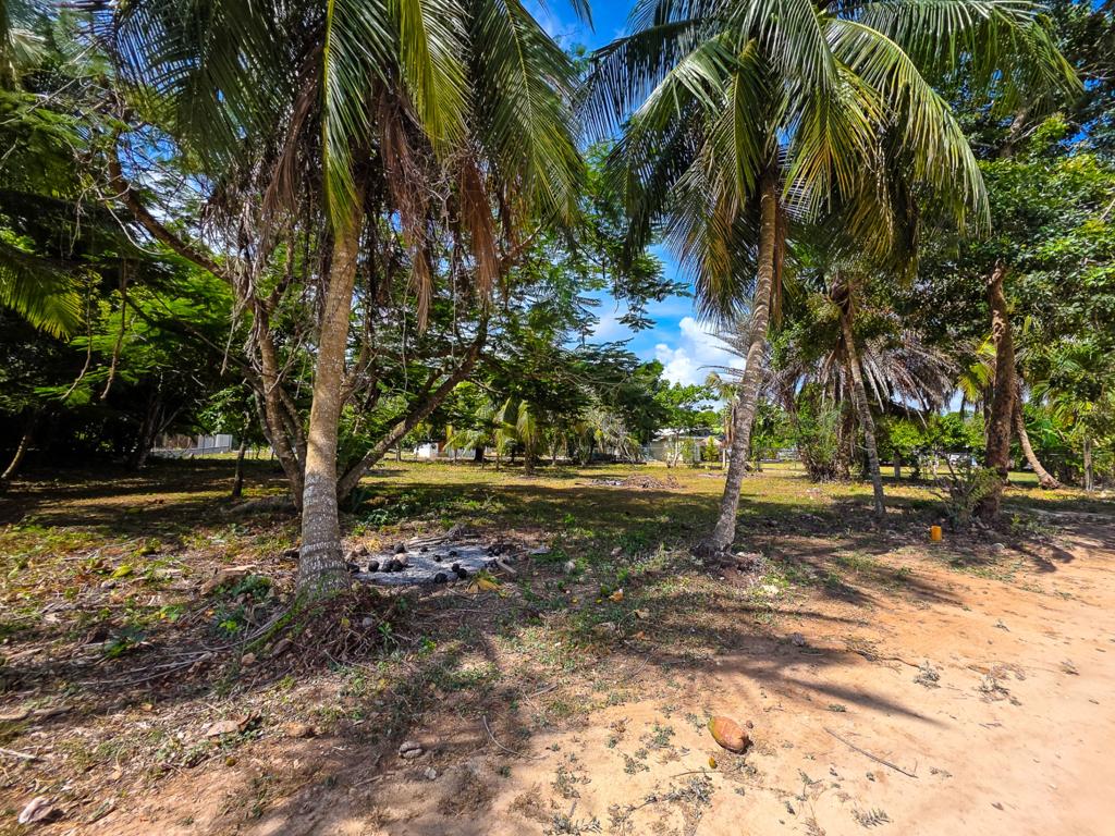listing image with ID 114499