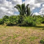 listing image thumbnail with ID 114337
