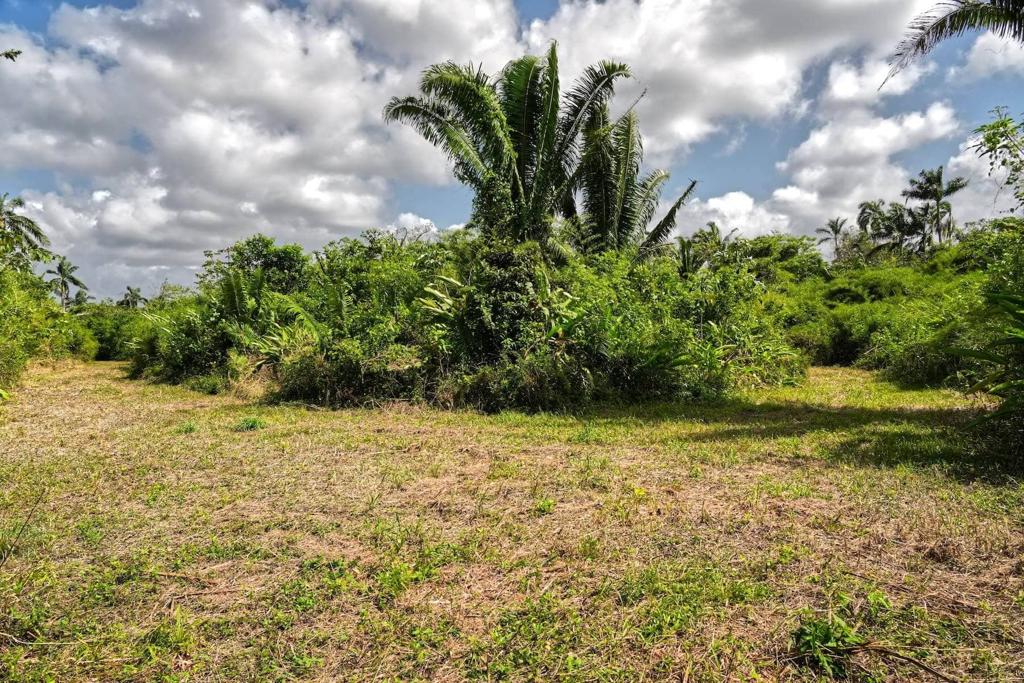 listing image with ID 114337
