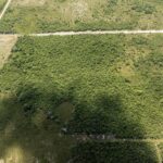listing image thumbnail with ID 114539