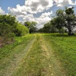 listing image thumbnail with ID 114326