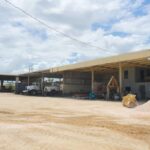 listing image thumbnail with ID 114661
