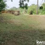 listing image thumbnail with ID 114216