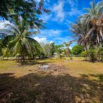 listing image thumbnail with ID 114492