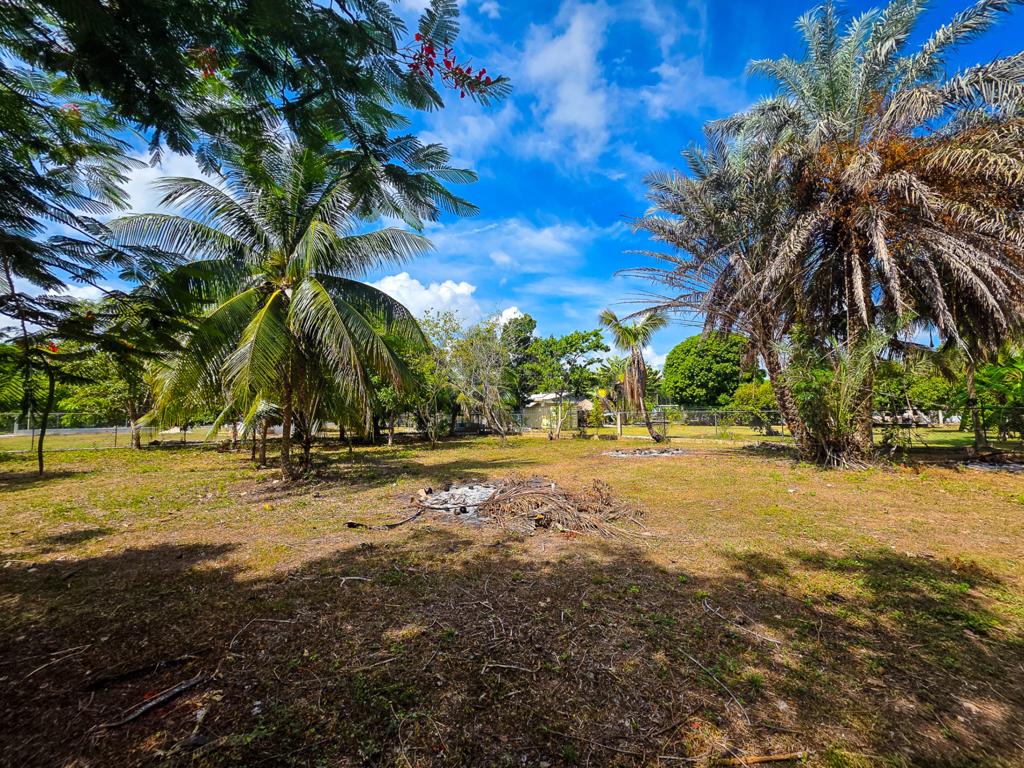 listing image with ID 114492