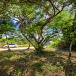listing image thumbnail with ID 114497