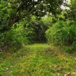 listing image thumbnail with ID 114325