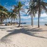 listing image thumbnail with ID 114920