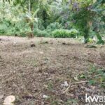 listing image thumbnail with ID 114215