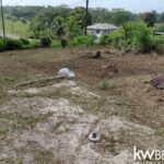 listing image thumbnail with ID 114217