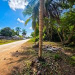 listing image thumbnail with ID 114504