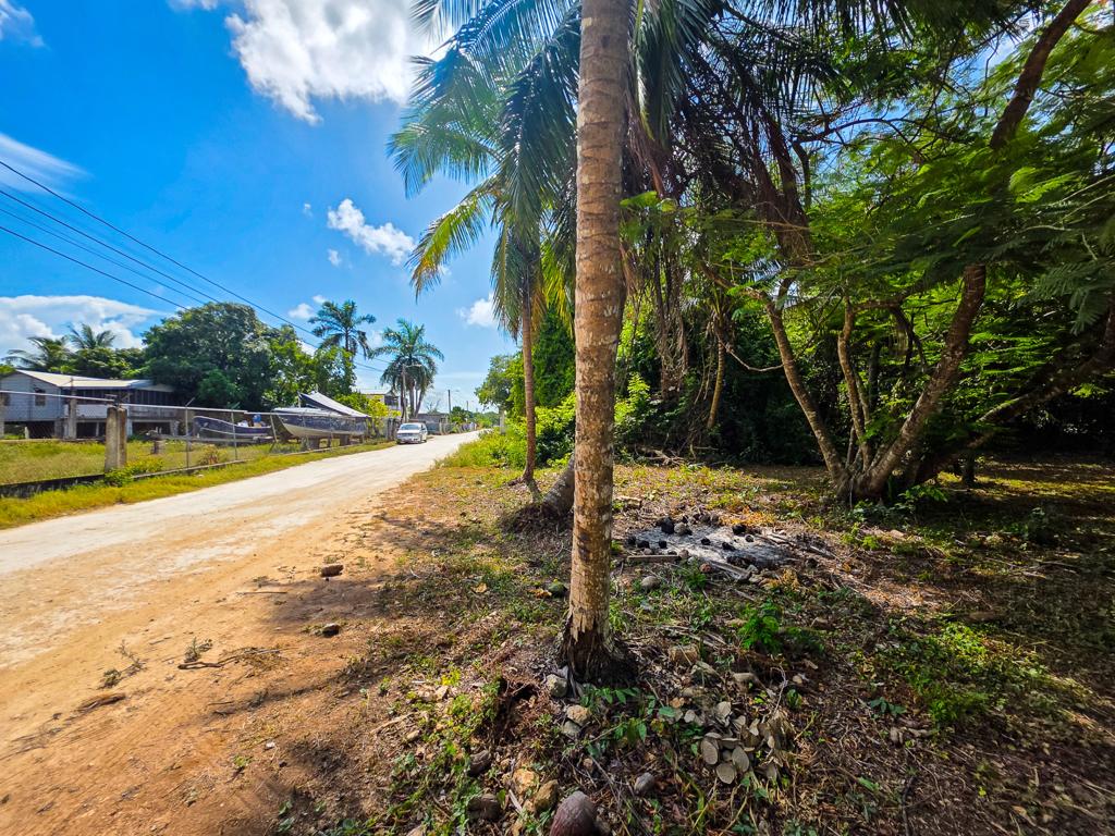 listing image with ID 114504
