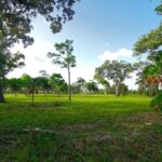 listing image thumbnail with ID 114464