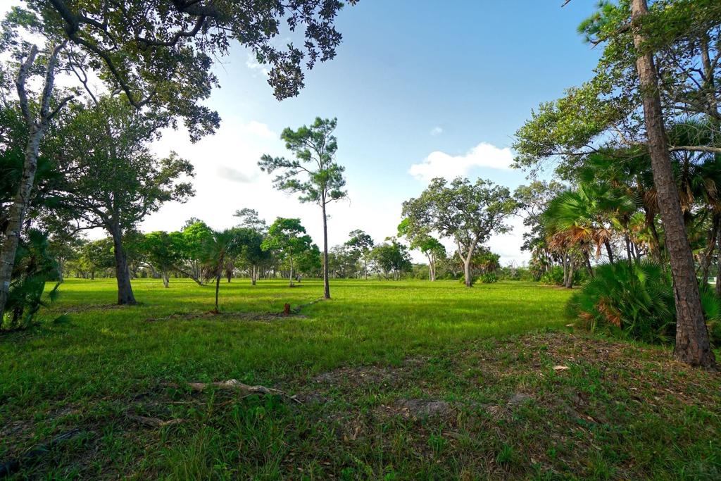 listing image with ID 114464