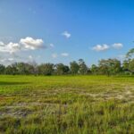 listing image thumbnail with ID 114467