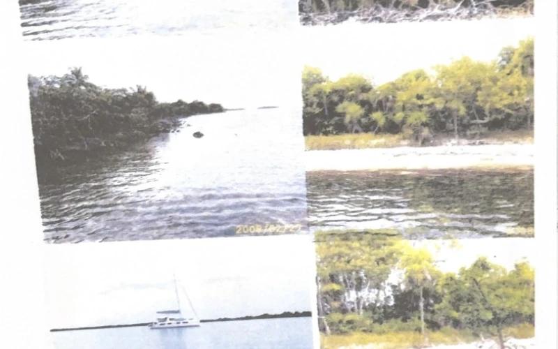 listing image with ID 114301