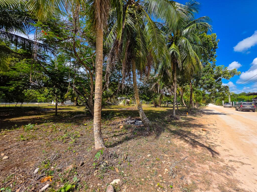 listing image with ID 114502