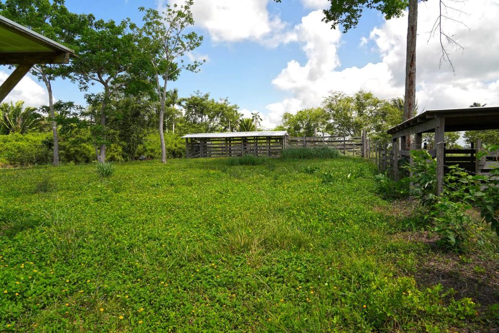 listing image with ID 114322