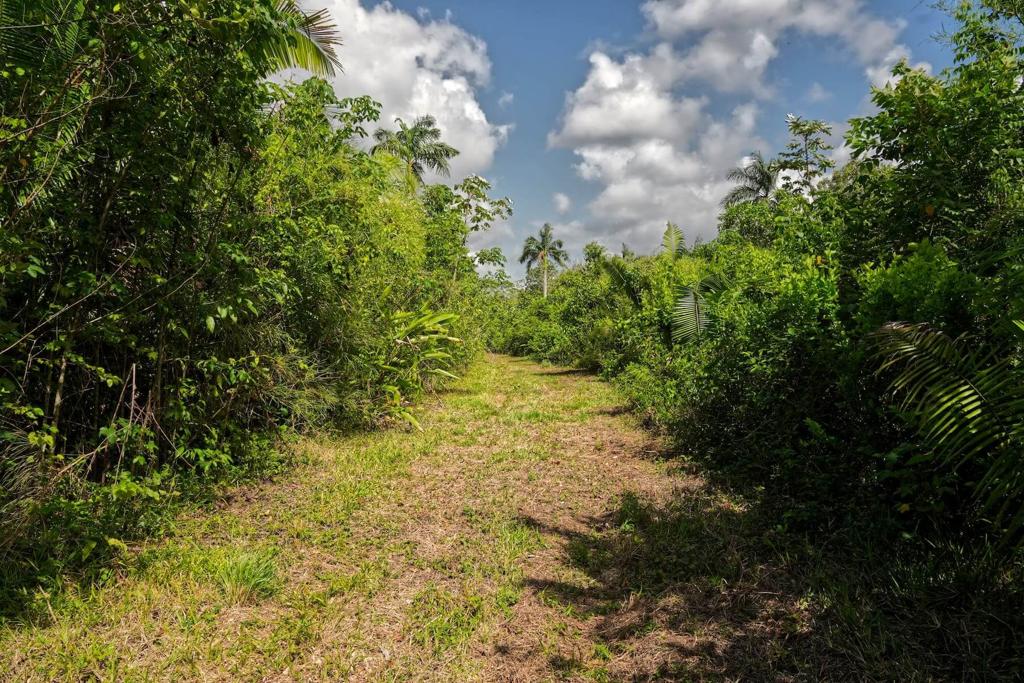 listing image with ID 114333