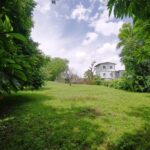 listing image thumbnail with ID 114707