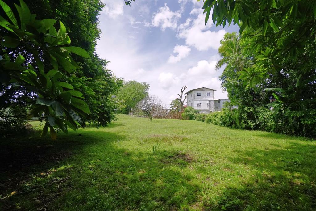 listing image with ID 114707