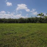 listing image thumbnail with ID 114341