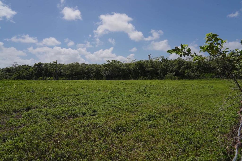 listing image with ID 114341