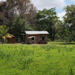 listing image thumbnail with ID 114317