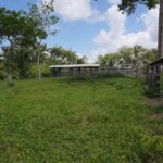 listing image thumbnail with ID 114345