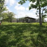 listing image thumbnail with ID 114320