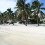 listing image thumbnail with ID 114901