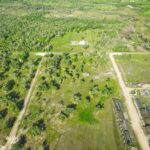 listing image thumbnail with ID 114474