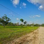 listing image thumbnail with ID 114465
