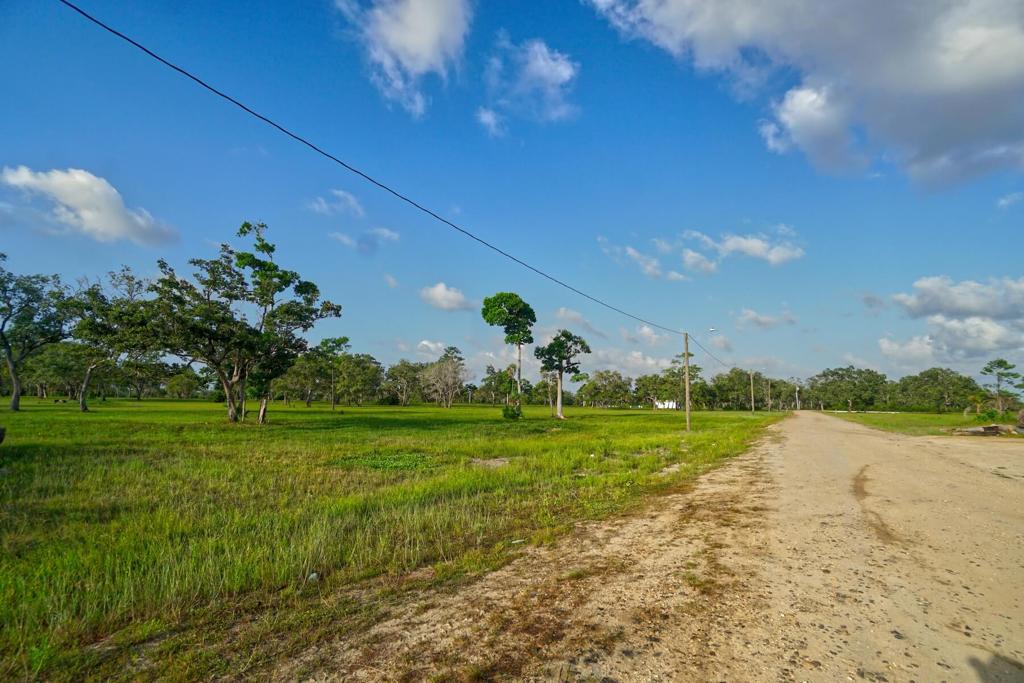 listing image with ID 114465