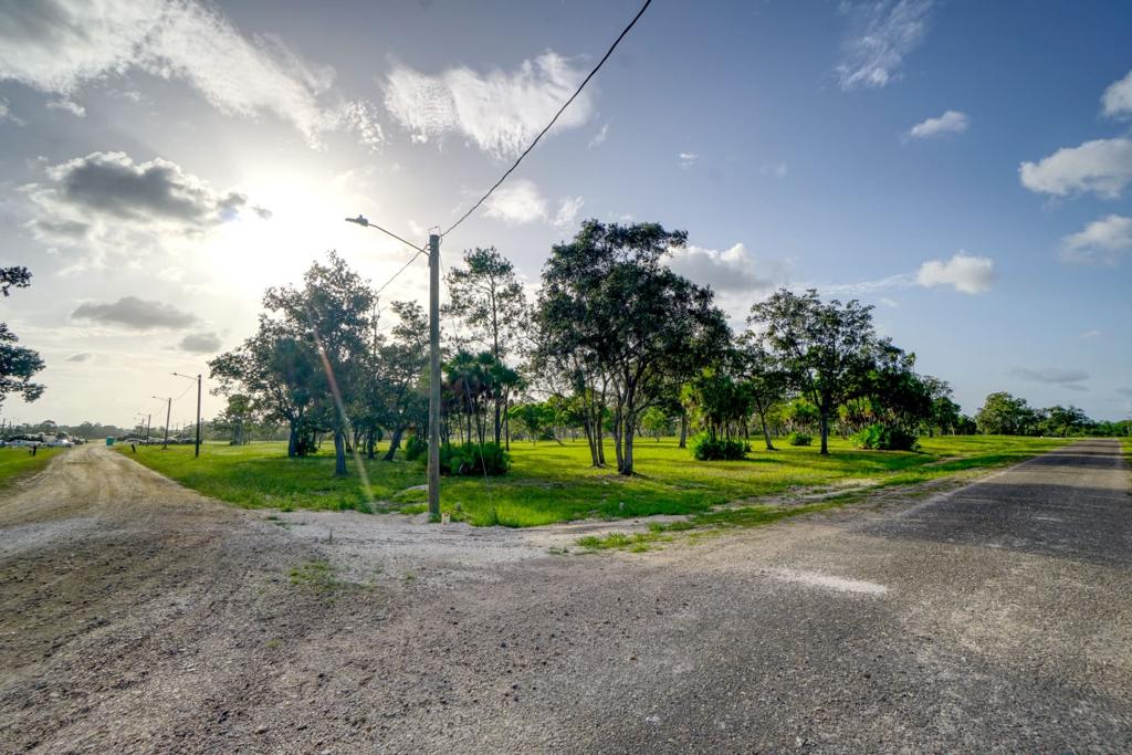listing image with ID 114476
