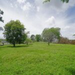 listing image thumbnail with ID 114711