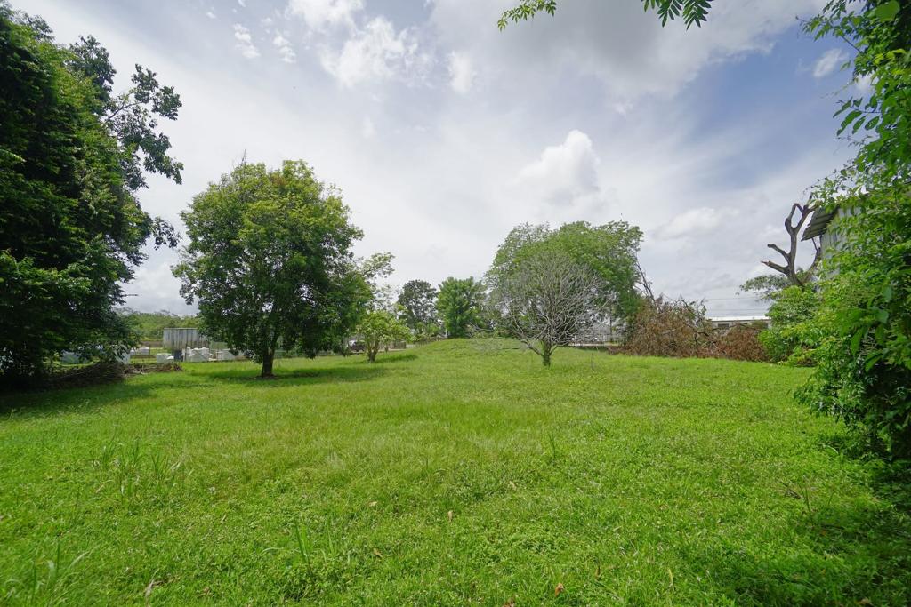 listing image with ID 114711