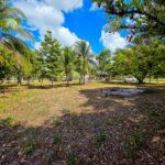 listing image thumbnail with ID 114498