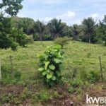 listing image thumbnail with ID 114404