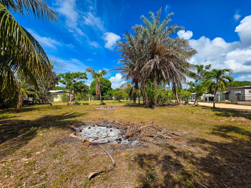 listing image with ID 114493