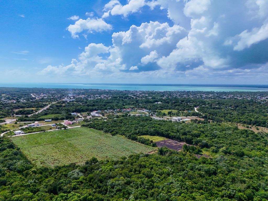 listing image with ID 114487