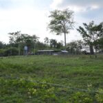 listing image thumbnail with ID 114343
