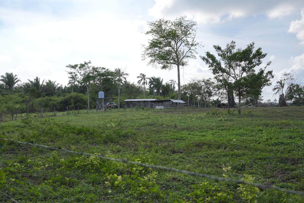 listing image with ID 114343